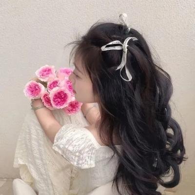 西线平魔 海报