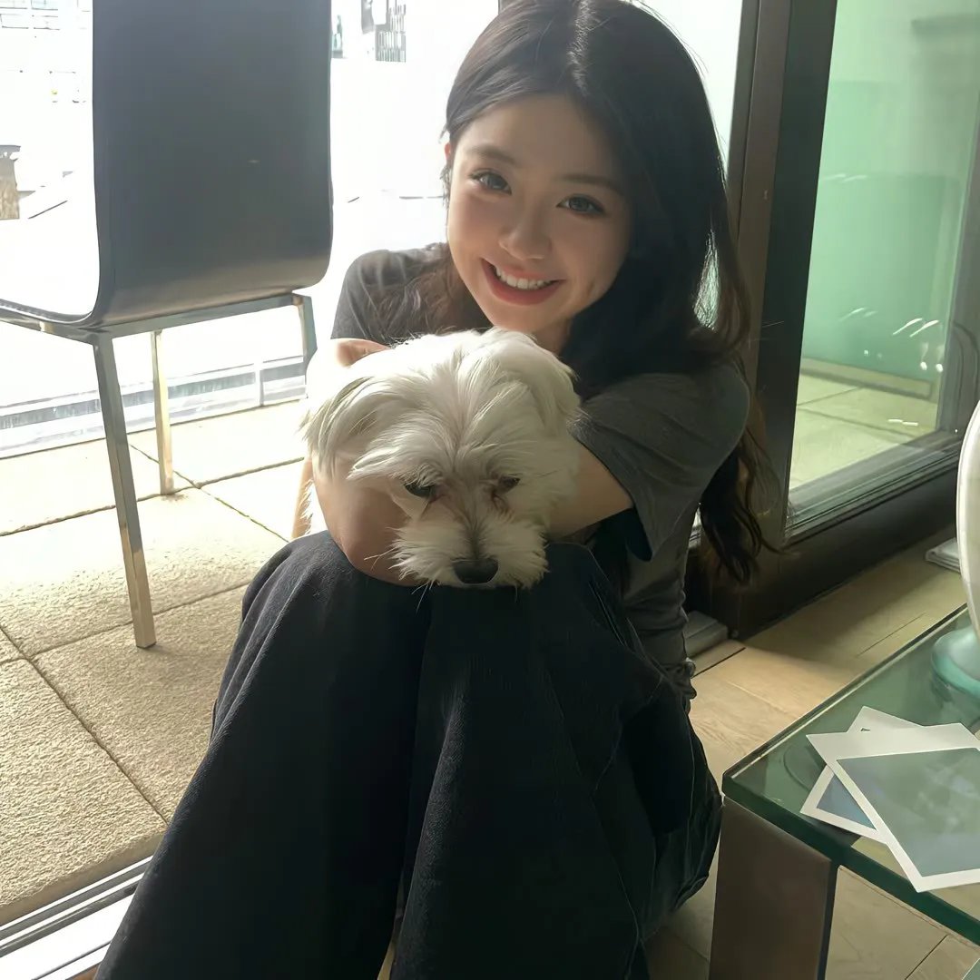 犬神家族 海报